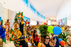 Gigantes da Lira - Desfile 2025 - Frederico Vreuls-107