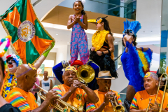 Gigantes da Lira - Desfile 2025 - Frederico Vreuls-118