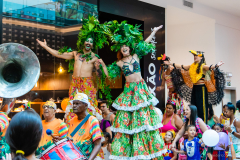 Gigantes da Lira - Desfile 2025 - Frederico Vreuls-21