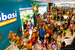 Gigantes da Lira - Desfile 2025 - Frederico Vreuls-34