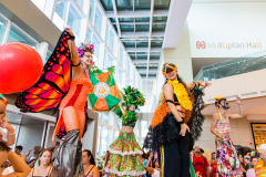 Gigantes da Lira - Desfile 2025 - Frederico Vreuls-50