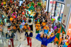 Gigantes da Lira - Desfile 2025 - Frederico Vreuls-54