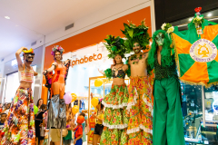Gigantes da Lira - Desfile 2025 - Frederico Vreuls-63